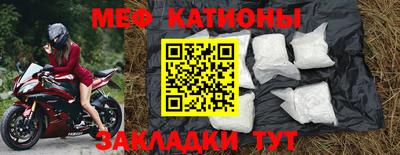 крисы Славгород