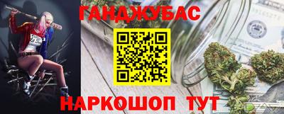 крисы Славгород