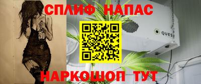 метадон Сланцы