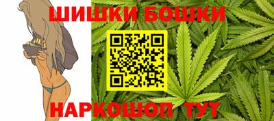 крисы Славгород