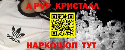 крисы Славгород