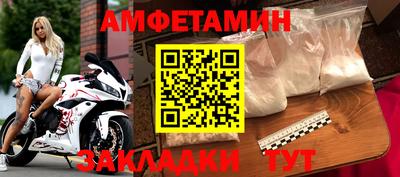 крисы Славгород